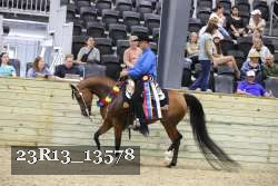 23R13_13578 thumbnail