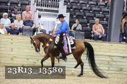 23R13_13580 thumbnail