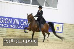 23R13_13609 thumbnail