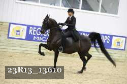 23R13_13610 thumbnail