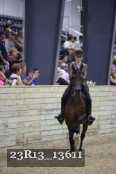23R13_13611 thumbnail