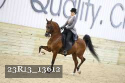 23R13_13612 thumbnail