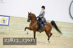 23R13_13613 thumbnail