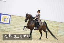 23R13_13614 thumbnail