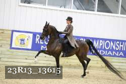 23R13_13615 thumbnail