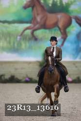 23R13_13616 thumbnail