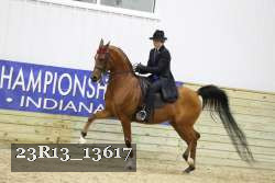 23R13_13617 thumbnail