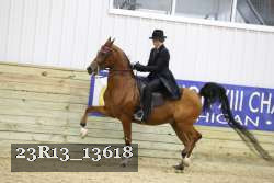 23R13_13618 thumbnail