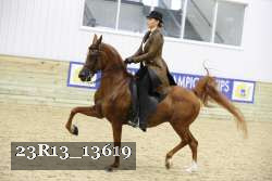23R13_13619 thumbnail