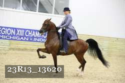 23R13_13620 thumbnail