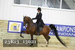23R13_13621 thumbnail