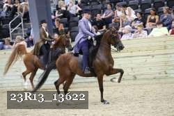 23R13_13622 thumbnail