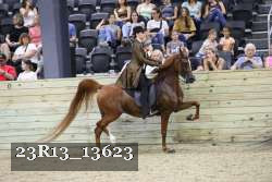 23R13_13623 thumbnail