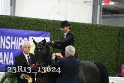 23R13_13624 thumbnail