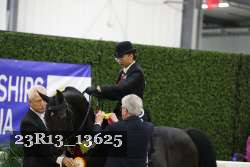 23R13_13625 thumbnail