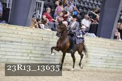 23R13_13635 thumbnail