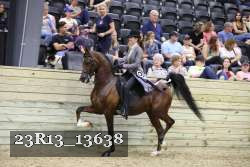 23R13_13638 thumbnail