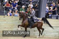 23R13_13639 thumbnail