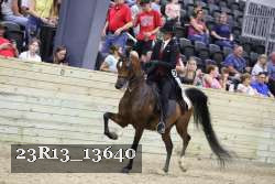 23R13_13640 thumbnail