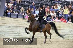 23R13_13641 thumbnail