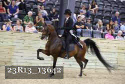 23R13_13642 thumbnail