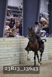 23R13_13643 thumbnail