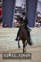 23R13_13646 thumbnail