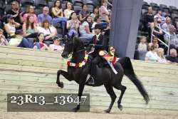 23R13_13647 thumbnail