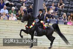 23R13_13648 thumbnail
