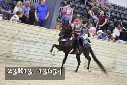 23R13_13654 thumbnail