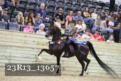 23R13_13657 thumbnail