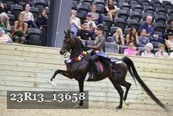23R13_13658 thumbnail