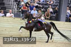 23R13_13659 thumbnail
