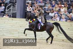 23R13_13661 thumbnail