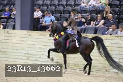 23R13_13662 thumbnail