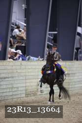 23R13_13664 thumbnail