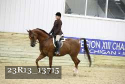 23R13_13715 thumbnail
