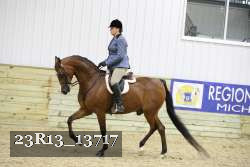23R13_13717 thumbnail