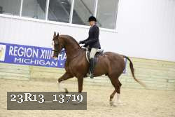 23R13_13719 thumbnail
