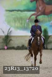 23R13_13720 thumbnail