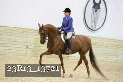 23R13_13721 thumbnail