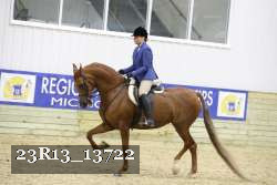 23R13_13722 thumbnail