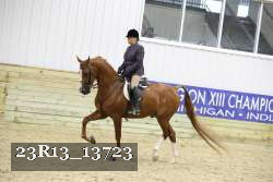 23R13_13723 thumbnail