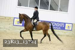 23R13_13724 thumbnail