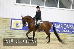 23R13_13725 thumbnail
