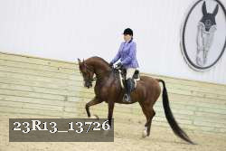 23R13_13726 thumbnail