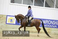 23R13_13728 thumbnail
