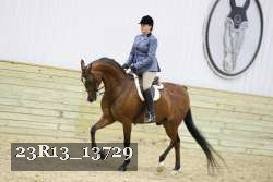 23R13_13729 thumbnail