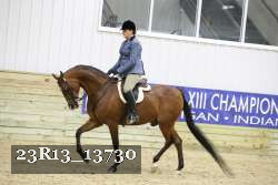23R13_13730 thumbnail