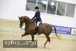 23R13_13731 thumbnail